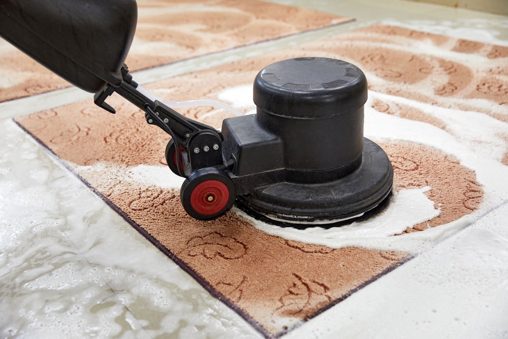 Carpet Chemical Cleaning With Professionally Disk Machine