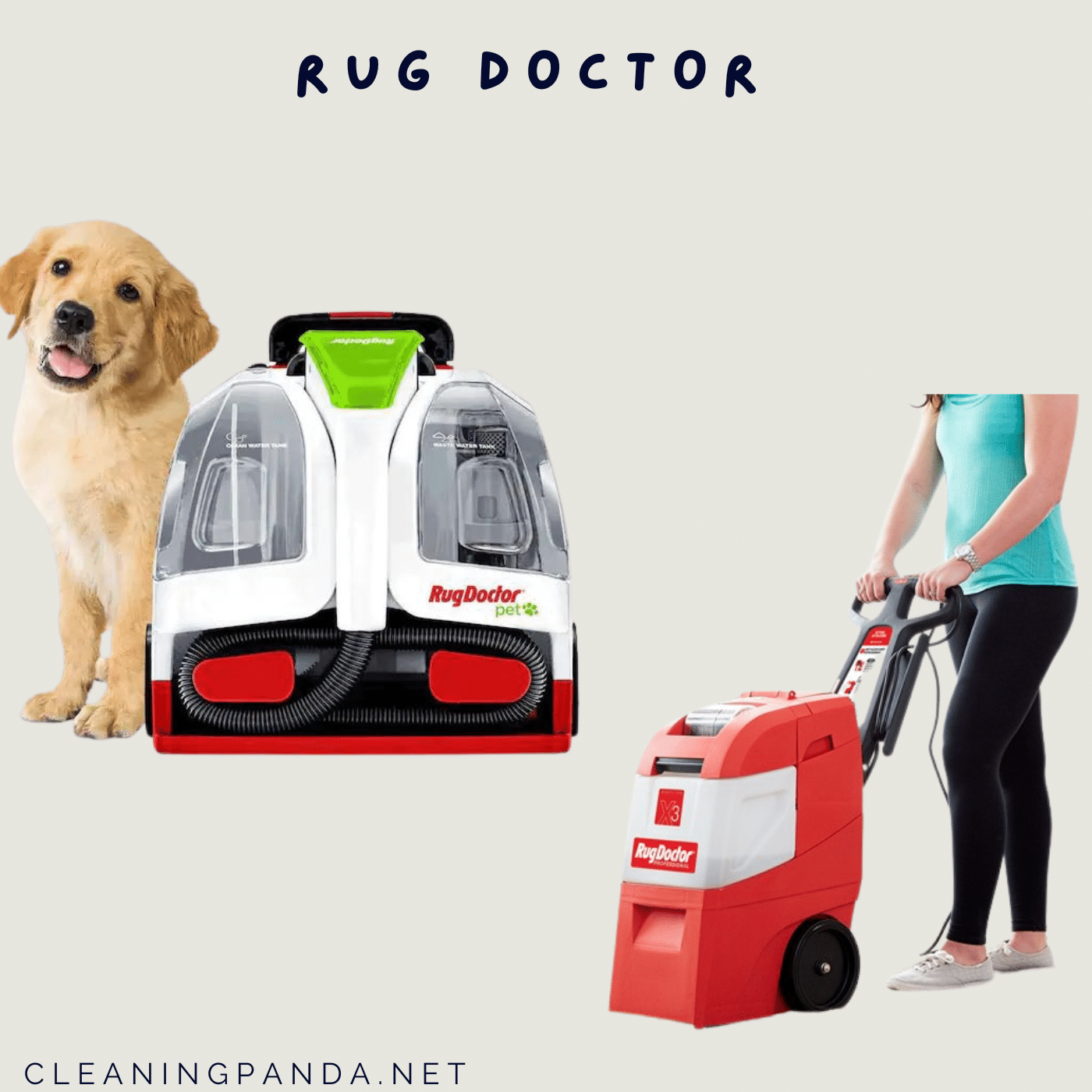 Rug Doctor