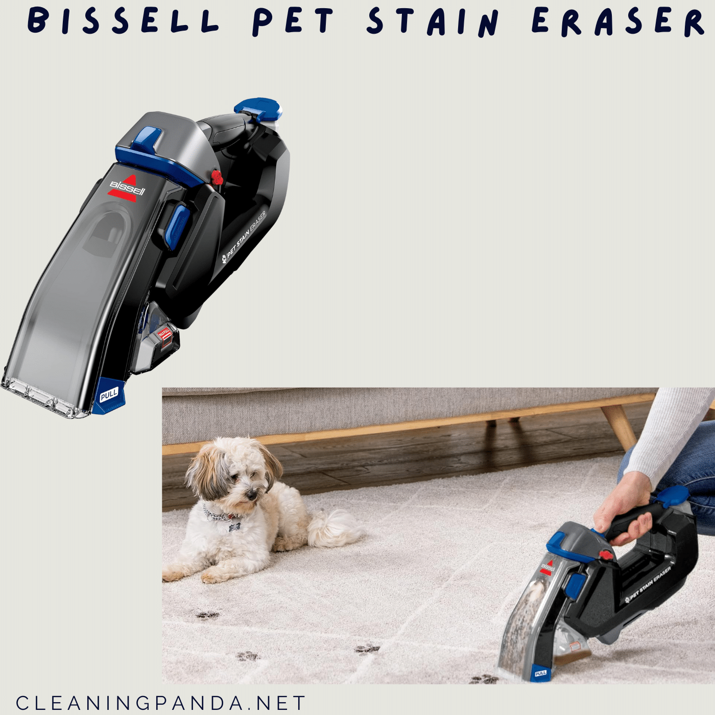 Bissell Pet Stain Eraser