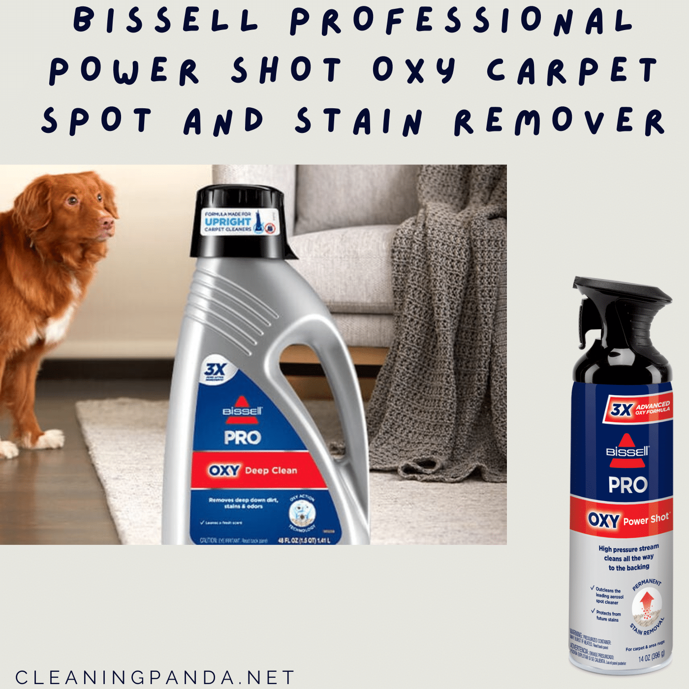 Bissell Professional Power Shot Oxy Carpet Spot and Stain Remover