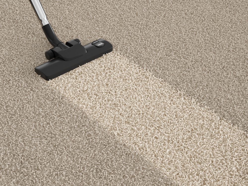 Vacuum cleaner Hoover On The Dirty Carpet 