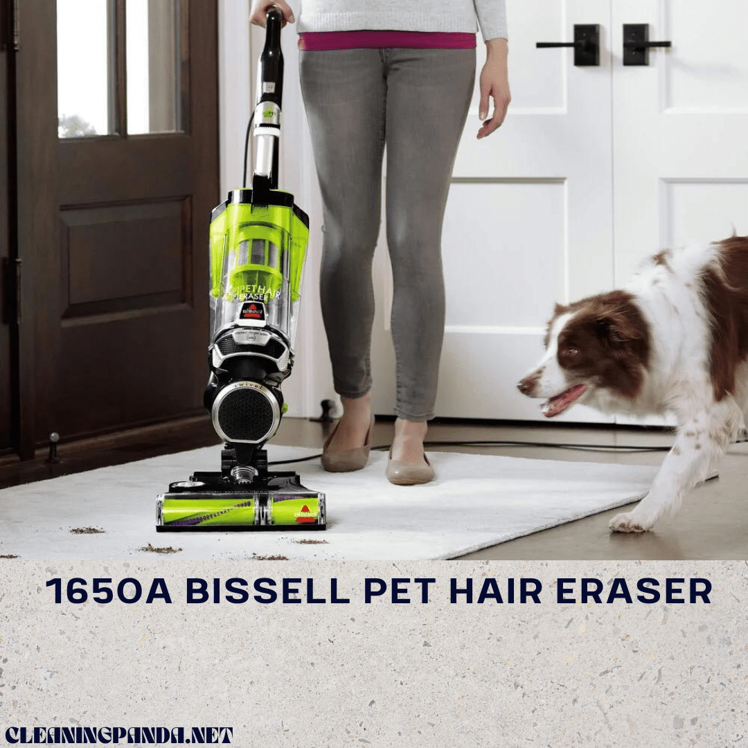 1650A Bissell Pet Hair Eraser