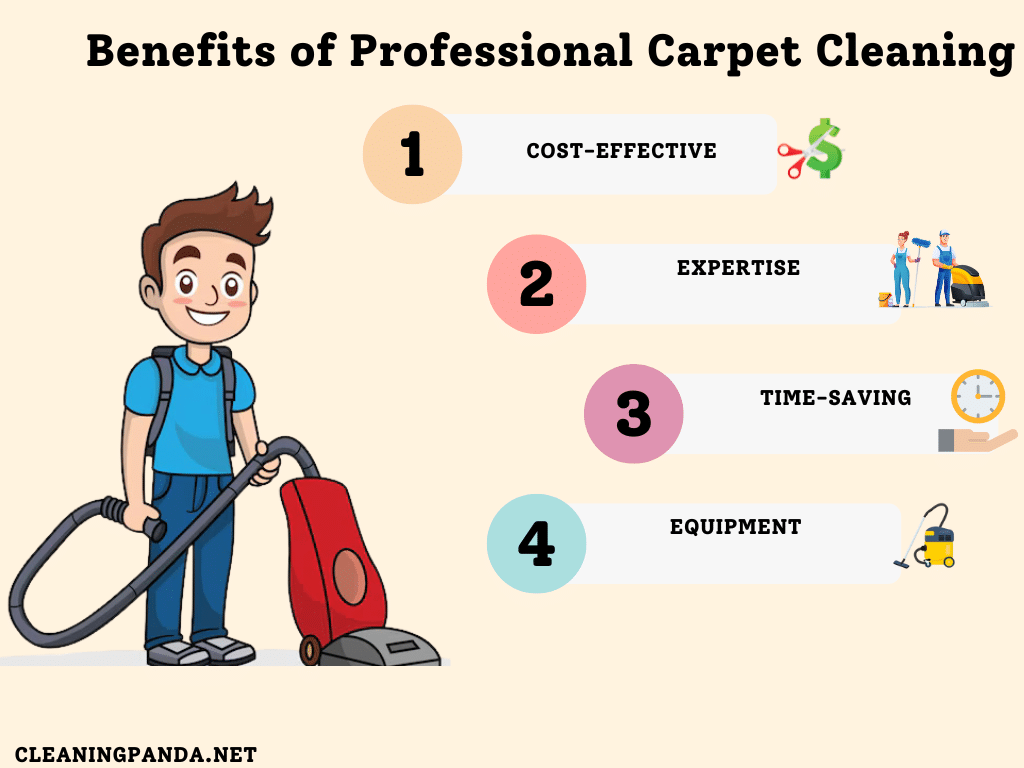 The Benefits of Professional Cleaning 