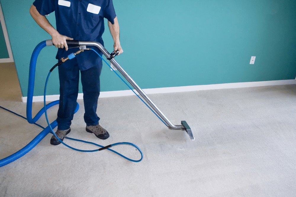 Professional Carpet Steam Cleaner Vacuuming a Home