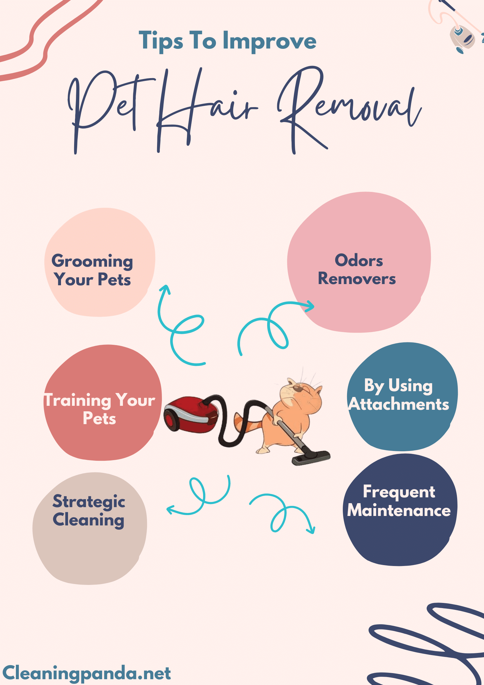 Tips to Improve Your Pet Hair Removal Experience