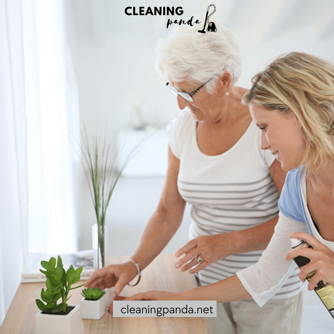 senior women cleaning the table with cloth